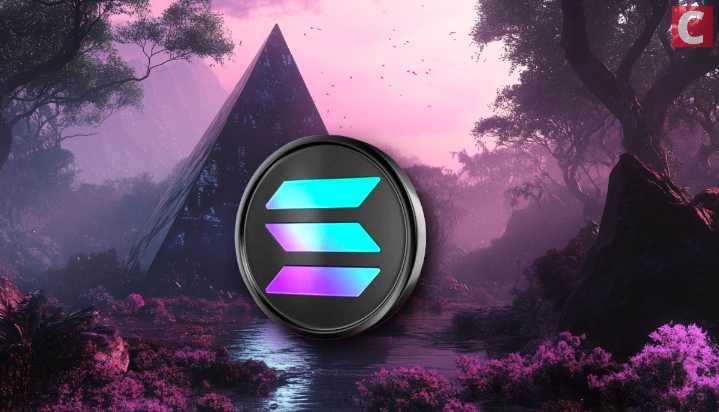 Solana ETFs Beat Bitcoin, Ethereum Funds in Daily Net Flow