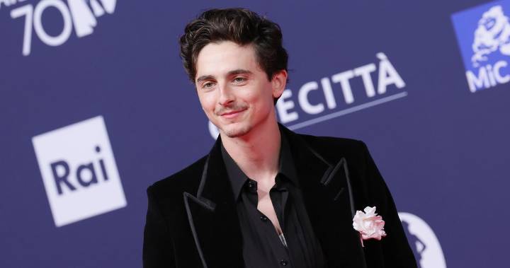 Timothée Chalamet Won’t Do TV Ever Again