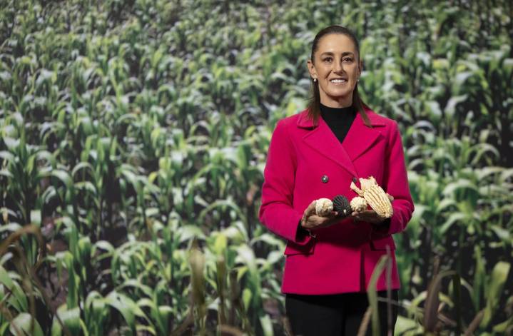 México impulsa programa para fortalecer el maíz nativo