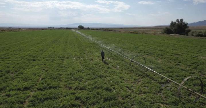 Trump’s deportations are causing farm labor issues. He hasn’t presented a long