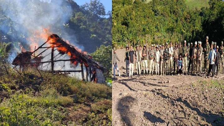 Manipur: Security forces destroy 35 acres of poppy plantations in Ukhrul