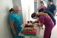 UABCS esteriliza 36 mascotas en jornada gratuita en Ciudad Insurgentes