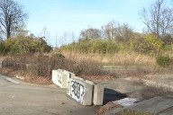 Remains Found in Woods After Tipster Shares Discovery with Radio Show