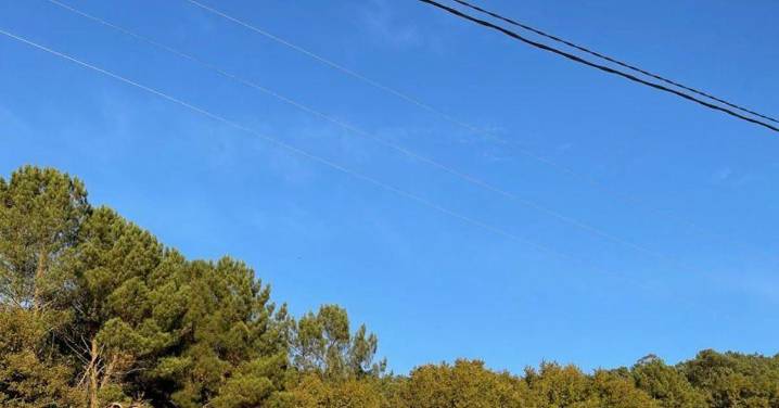 Arnoia apuesta por poner en valor su tradición olivarera