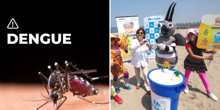 El dengue llega a la playa: EsSalud alerta expansión del Aedes aegypti a zonas del litoral peruano antes del verano