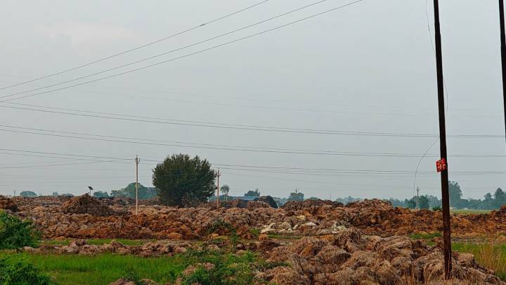 Punjab’s sand paradox: Glut in fields, boom in riverbed