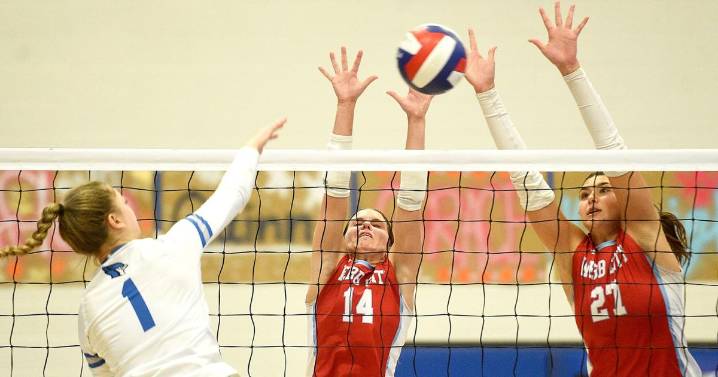 Webb City volleyball advances to Final Four