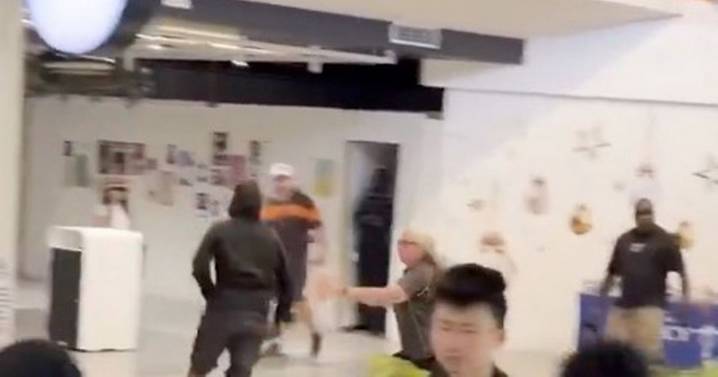 Machete-wielding man terrifies shopping centre in horror attack before hero cop steps in