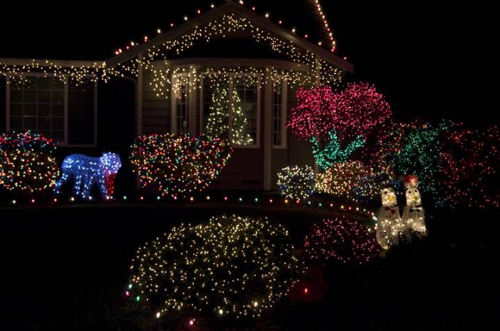 Festival of Trees celebrates 20th anniversary at Morven Museum & Garden