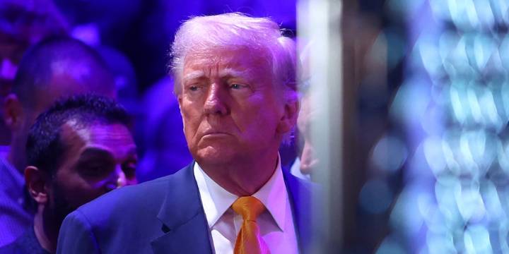 Who Is ‘Bubba’? Viral Epstein Email About Trump Explained | Bill Clinton, Donald Trump, Jeffrey Epstein, Politics, Vladimir Putin