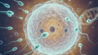 Logran un embarazo con un método que recupera esperma con IA