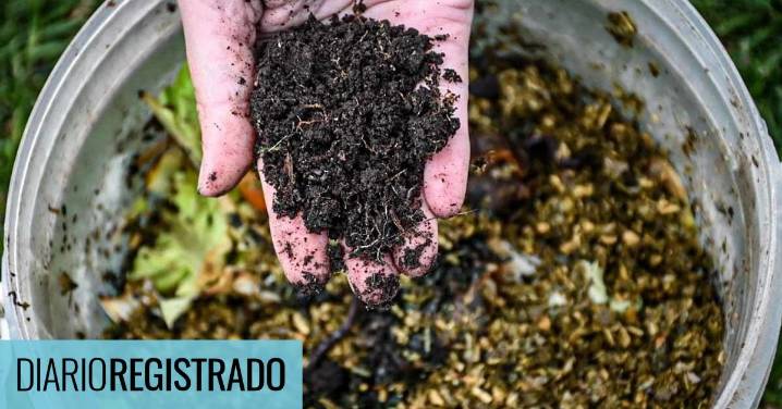 El compost como clave para el reciclaje: como es la iniciativa que se potencia en Europa