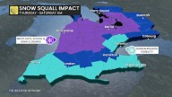 Severe snow squalls target southern Ontario with risk of 30