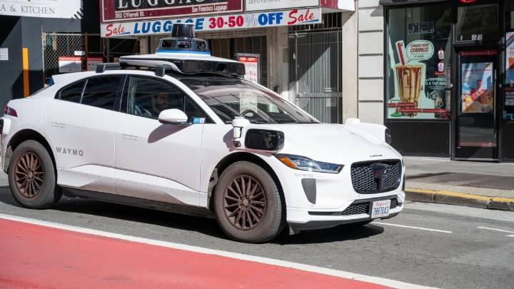 Social media mourns beloved cat, KitKat, hit by Waymo car