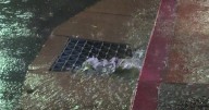 Paso Robles residents reminded to keep storm drains clear ahead of future storms