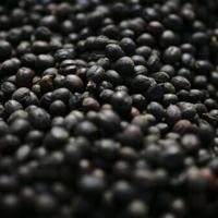 Trump signs order to lower tariffs on beef, coffee, other goods