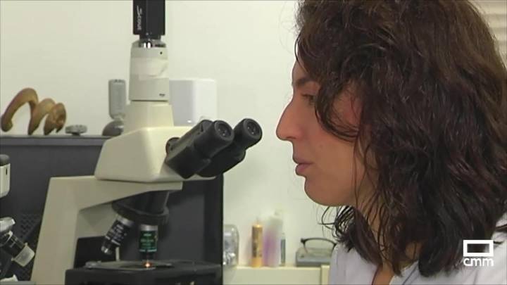 El Instituto Español de Genética y Reproducción Animal de Talavera, referente internacional en reproducción animal