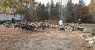 Newly established wood bank on MDI hosts its first volunteer event