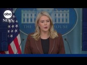 White House Press Secretary on Epstein emails: 'President Trump did nothing wrong'