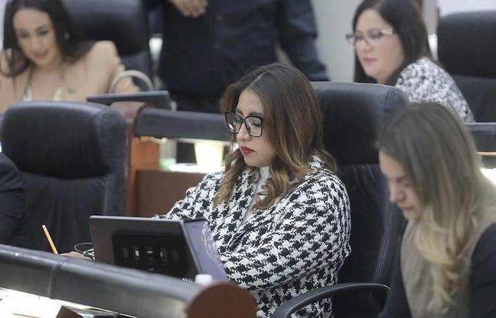 Podrían incluir el acoso escolar en la Ley de Acceso de las Mujeres a una Vida Libre de Violencia