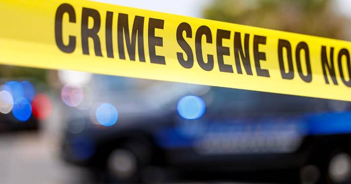 Two victims of fatal shootings in Charleston Co. identified