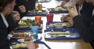 Colorado votes to raise taxes to pay for all public students' school meals