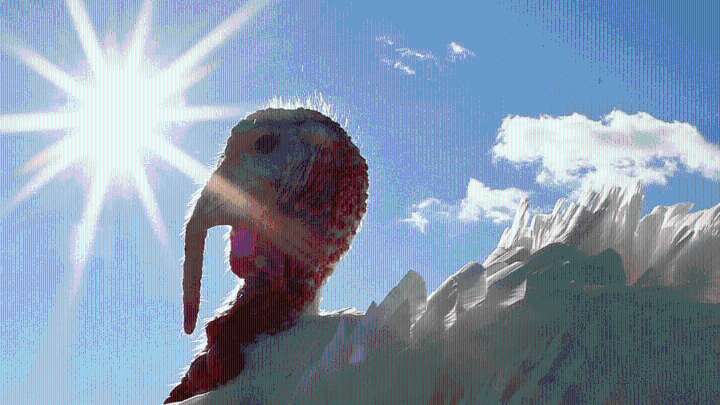 Thanksgiving forecast: warm, dry and breezy through Thursday