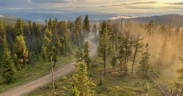 Stairway to 'heaven': 73-year-old Bozeman historian lives a summer dream in fire lookout