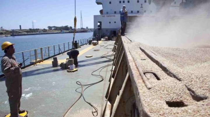 Las exportaciones argentinas sumaron U$S 2398 millones impulsadas por subas de hasta 357% en productos premium