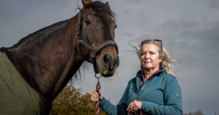 Horse breeder shocked over noise complaint of ‘constant neighing’