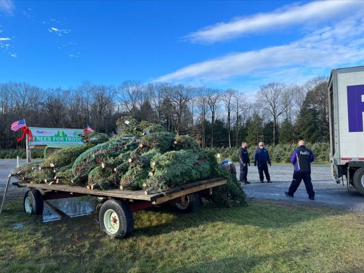 Trees for Troops initiative returning to Capital Region