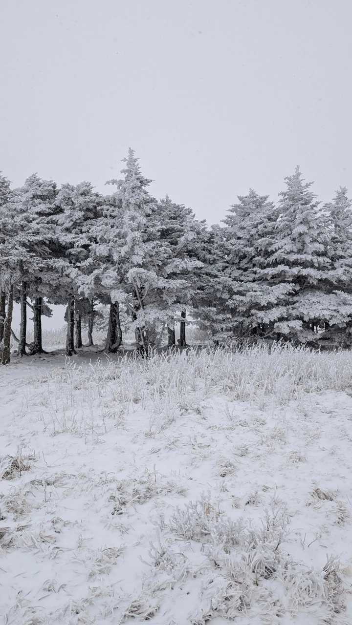 East Tennessee snow pictures from Monday