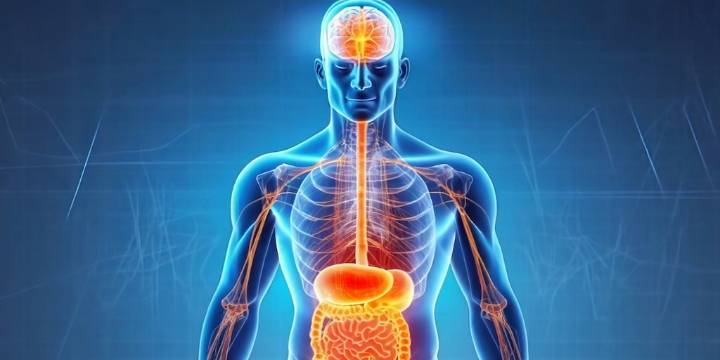 Cómo la salud intestinal y la alimentación influyen en el estado de ánimo, según expertos