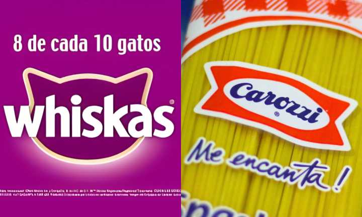 "8 de cada 10 gatos prefiere Whiskas": Justicia falla a favor de empresa de alimentos de animales por frase comercial tras demanda de Carozzi