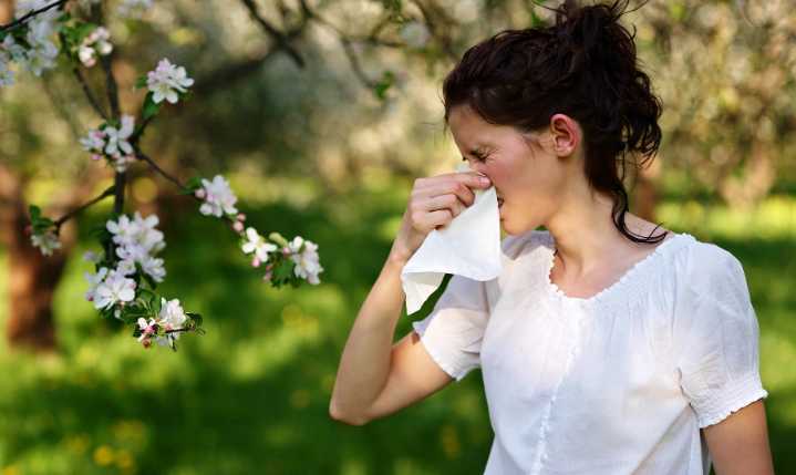 Alertan por “niveles altísimos” de polen en Santa Rosa