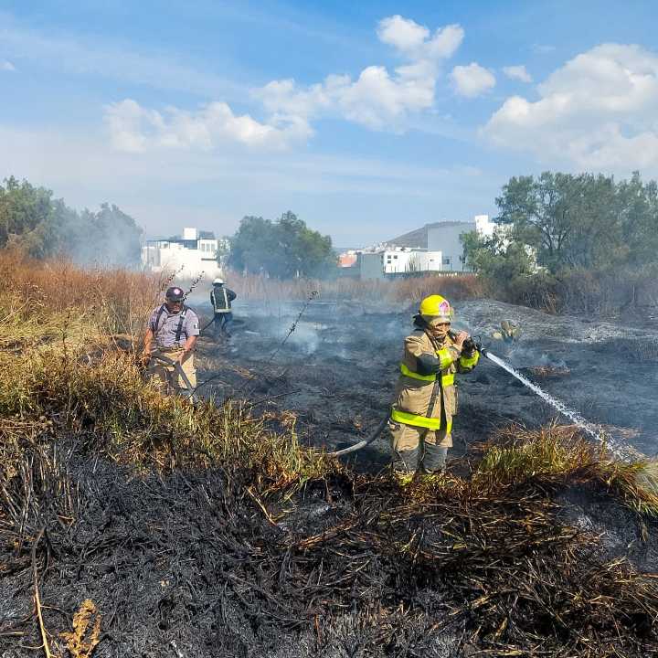 Protección Civil controla incendio junto al bulevar Colosio