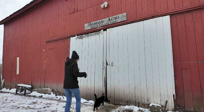 What drives turkey prices? This Boone County farm weighs in