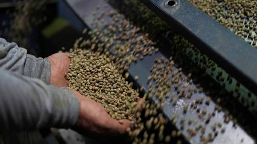 Trump expands tariff relief on coffee, fruit and beef from Brazil