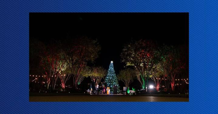 Ring in the holiday season at LSUS’s tree lighting Thursday