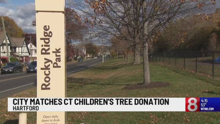 Hartford, CT Children's to plant 200 new trees in the city