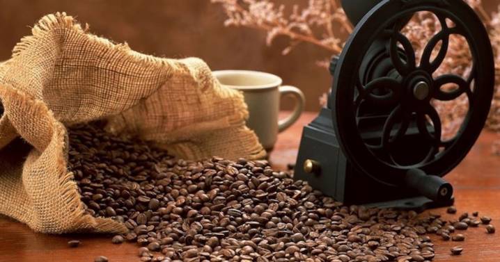 EU elimina aranceles de 40% a algunas importaciones agrícolas de Brasil