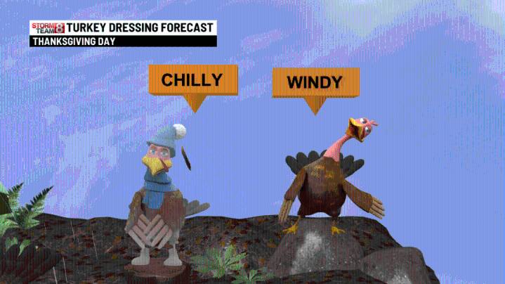 Mostly clear & brisk overnight with windy conditions Friday and some flurries!