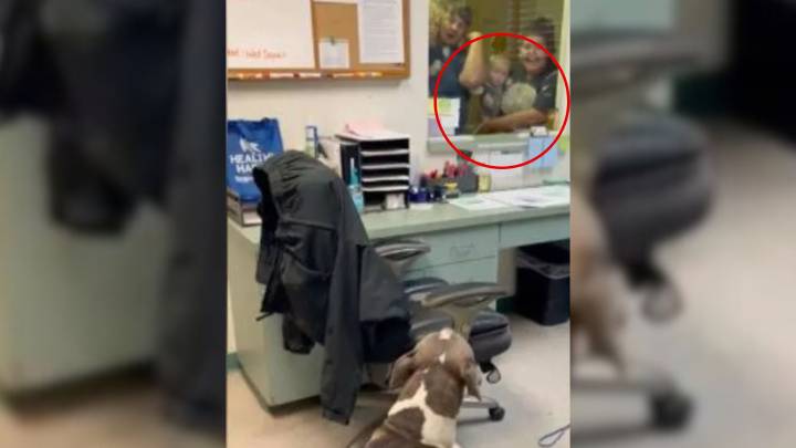 Florida Family Overjoyed After Dog Missing For 10 Months Is Found Thanks To Microchip