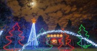 City Park's Jingle Bells and Beer fundraiser, plus more community events