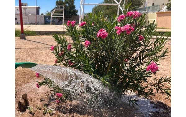 ¡Evita desperdiciar agua! J+ anuncia nuevo horario de riego para otoño e invierno