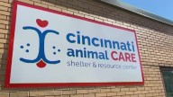 Cincinnati Animal CARE kicking off Black Friday with 99 cent adoptions