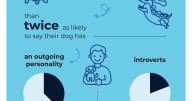 8 in 10 dog owners swear their pet’s personality mirrors their own