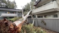 18 people displaced after tree topples over Thousand Oaks apartment units