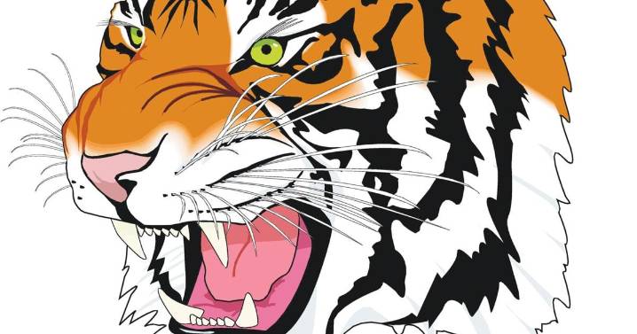 Carthage Tigers hold off Cavaliers, 36-17, reach state semifinals