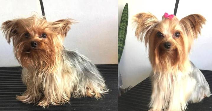 Buscando a “Naya”, un intenso rastreo que no descansa